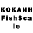 COCAIN Fish Scale Graciela Moreschi